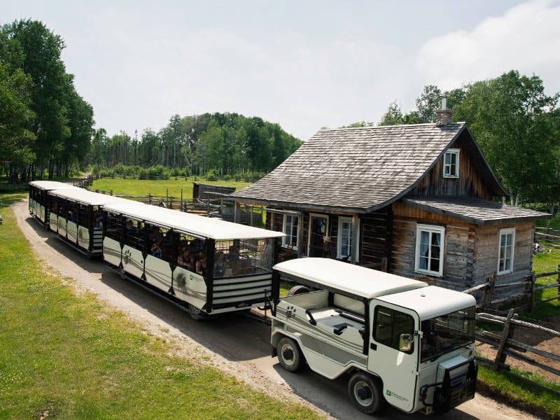 zoosauvagedesaintfelicien zoosauvagedesaintfelicien